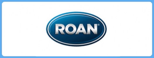 Roan Детская коляска